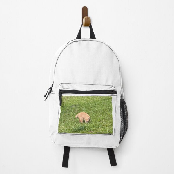 Item preview, A Manx in the hood. designed and sold by Pearls1.