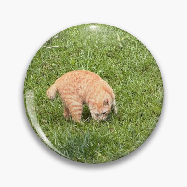 Item preview, A Manx in the hood. designed and sold by Pearls1.