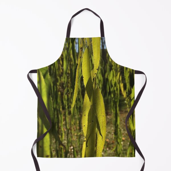 Item preview, Willow leaves, real photograph designed and sold by GiSilver.