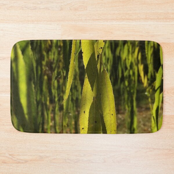 Item preview, Willow leaves, real photograph designed and sold by GiSilver.