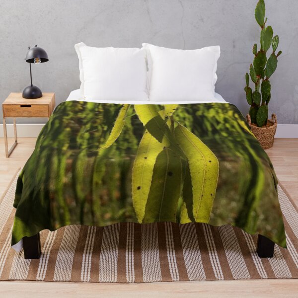 Item preview, Willow leaves, real photograph designed and sold by GiSilver.