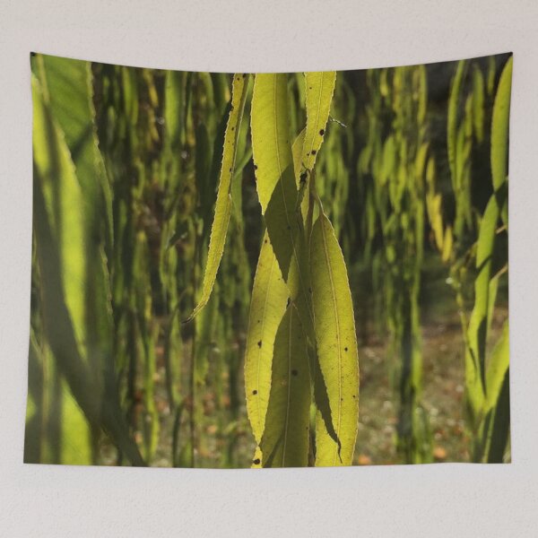 Item preview, Willow leaves, real photograph designed and sold by GiSilver.