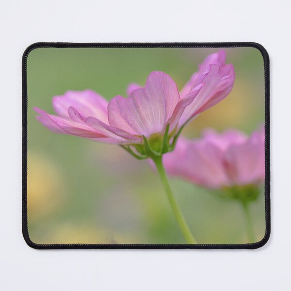 Item preview, Soft wildflower dream designed and sold by little_macro_love.