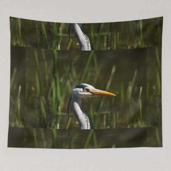 Item preview, Grey Heron Portrait Among Reeds at Waterside designed and sold by Shanguai.