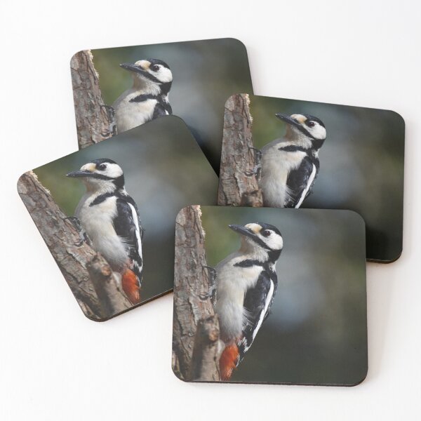 Item preview, Great Spotted Woodpecker Clinging to Pine Tree Trunk designed and sold by Shanguai.