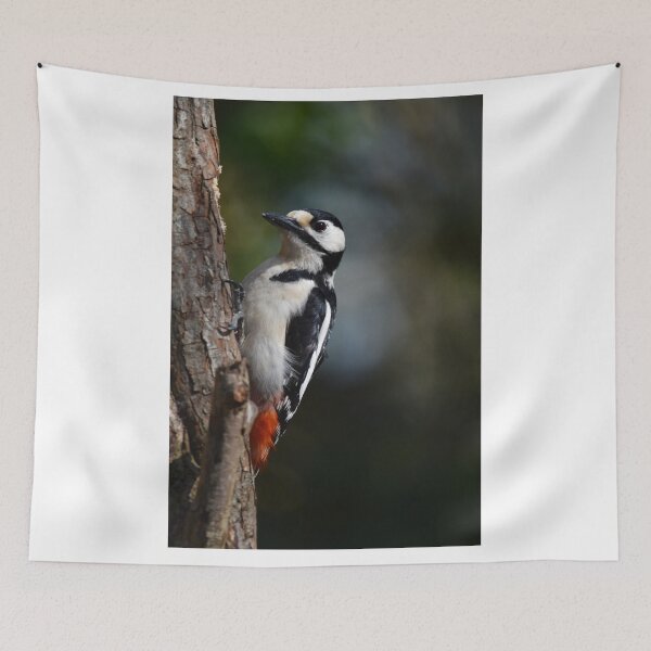 Item preview, Great Spotted Woodpecker Clinging to Pine Tree Trunk designed and sold by Shanguai.