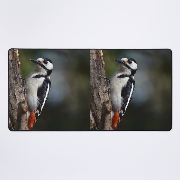 Item preview, Great Spotted Woodpecker Clinging to Pine Tree Trunk designed and sold by Shanguai.