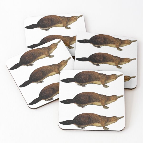 Item preview, Realistic Platypus designed and sold by Mason Ekstrom.