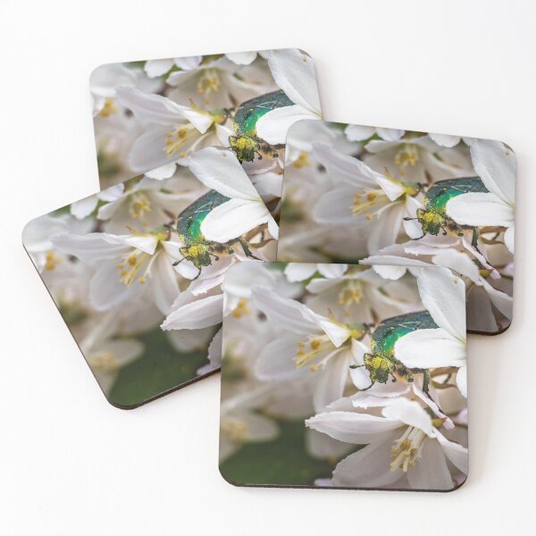Item preview, Emerald Visitor — Rose Chafer Beetle on White Blossoms designed and sold by Rabee Khalil Photography.
