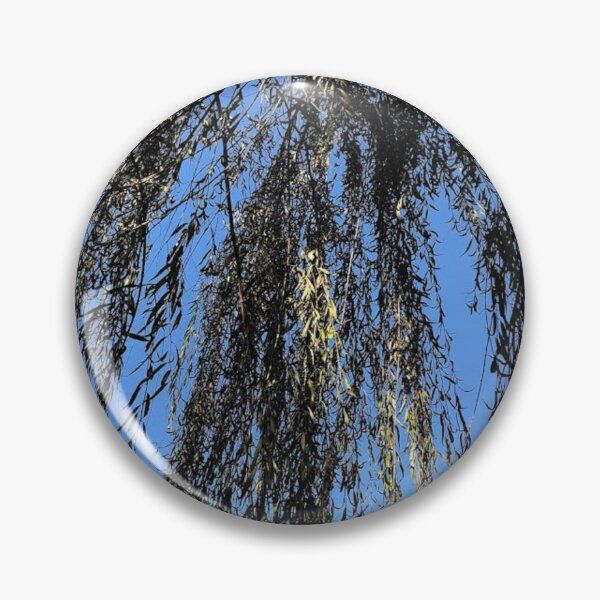 Item preview, Beneath a Willow tree, REAL photograph designed and sold by GiSilver.