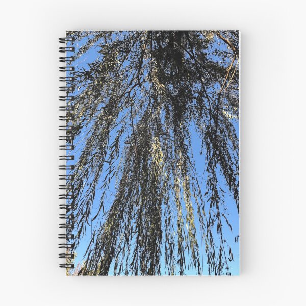 Item preview, Beneath a Willow tree, REAL photograph designed and sold by GiSilver.