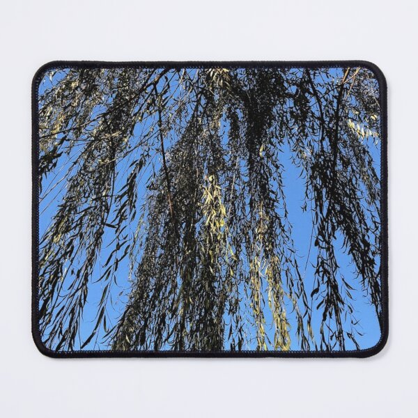 Item preview, Beneath a Willow tree, REAL photograph designed and sold by GiSilver.