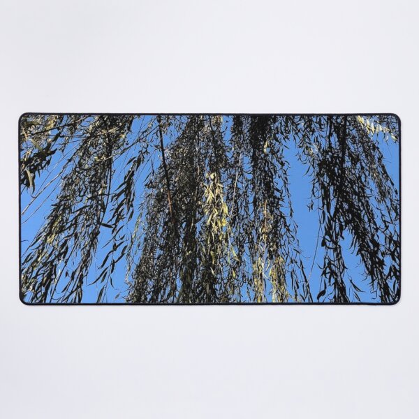 Item preview, Beneath a Willow tree, REAL photograph designed and sold by GiSilver.