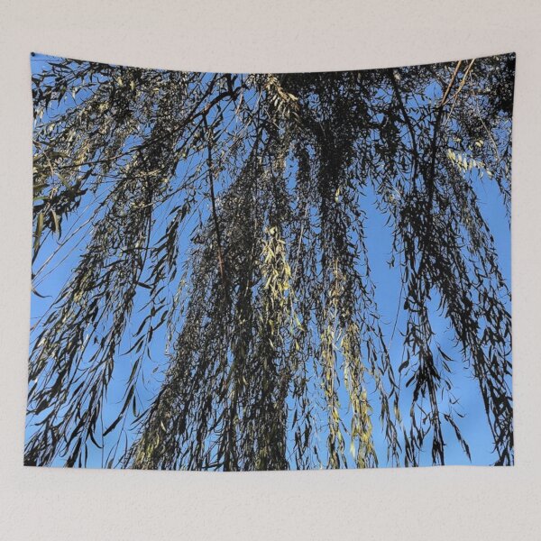 Item preview, Beneath a Willow tree, REAL photograph designed and sold by GiSilver.