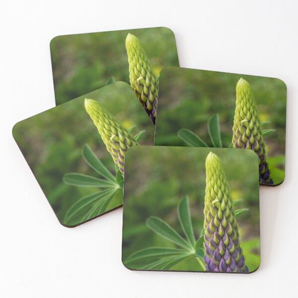 Item preview, Before the Bloom — Lupine Spike in Purple and Green designed and sold by Rabee Khalil Photography.