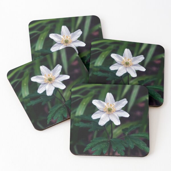 Item preview, single wood anemone macro designed and sold by Tom McPherson Photography.