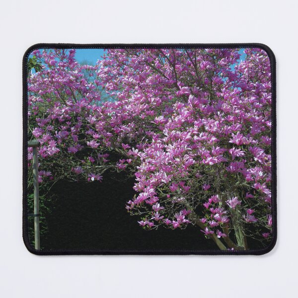 Item preview, Pink Magnolia Blossoms in Full Bloom designed and sold by P.S. Warm Moments.