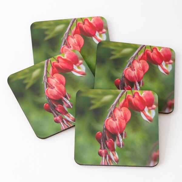 Item preview, Broken Hearts — Red Bleeding Heart Flowers designed and sold by Rabee Khalil Photography.