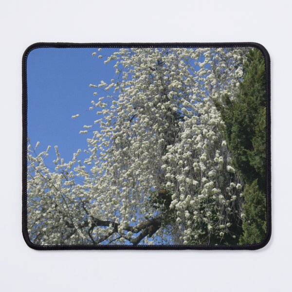Item preview, Blooming White Spring Tree Scene designed and sold by P.S. Warm Moments.