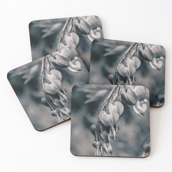 Item preview, Silent Hearts — Bleeding Heart Flowers in Black and White designed and sold by Rabee Khalil Photography.