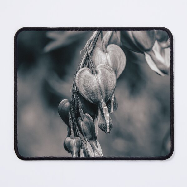Item preview, Silent Hearts — Bleeding Heart Flowers in Black and White designed and sold by Rabee Khalil Photography.