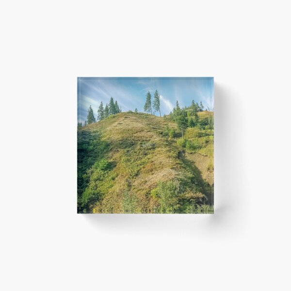 Item preview, Evergreen Forest v4 designed and sold by OddLilFox.