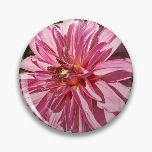 Item preview, Dahlia Takeover designed and sold by Eidetic Photos.