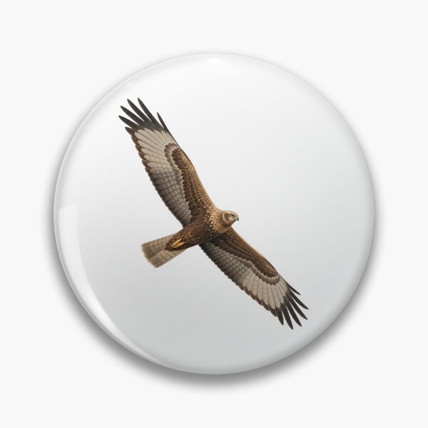 Item preview, Marsh Harrier designed and sold by jamesgerardking.