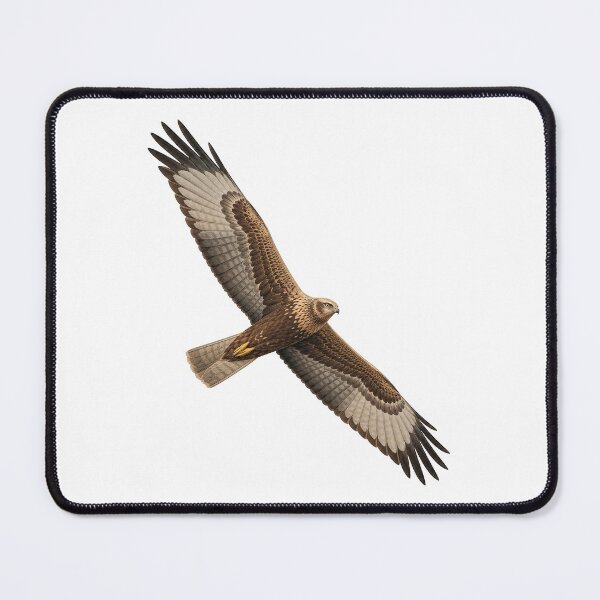 Item preview, Marsh Harrier designed and sold by jamesgerardking.