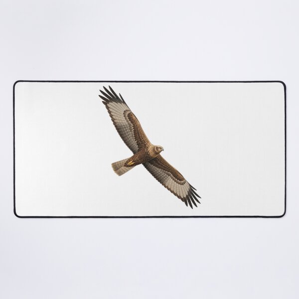 Item preview, Marsh Harrier designed and sold by jamesgerardking.