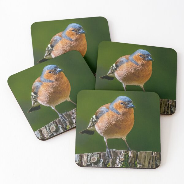 Item preview, The chaffinch designed and sold by Tom McPherson Photography.