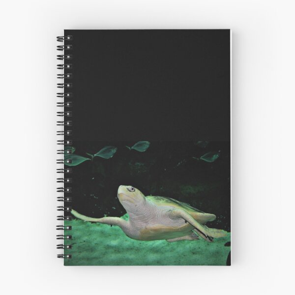 Item preview, Atlantic Ridley Sea Turtle designed and sold by Savannah Gibbs.