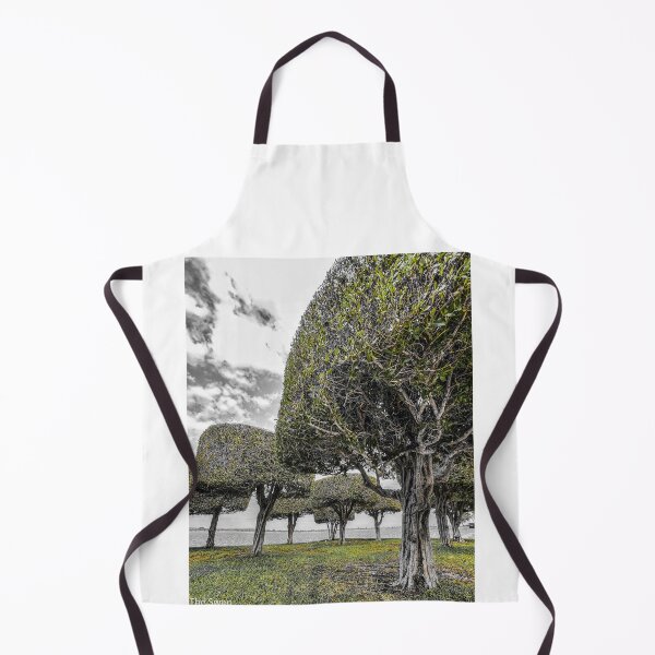 Item preview, Abu Dhabi Corniche Park | Monochrome Green Coastal Photography | Calm Nature Urban Oasis designed and sold by BlueberrySwan.