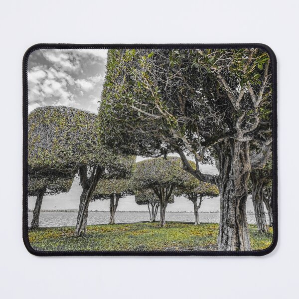 Item preview, Abu Dhabi Corniche Park | Monochrome Green Coastal Photography | Calm Nature Urban Oasis designed and sold by BlueberrySwan.