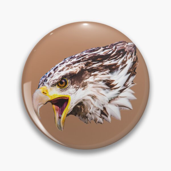 Item preview, Close up of eagle head  designed and sold by Creative Visualize.