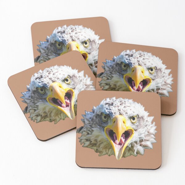 Item preview, Close-up of eagle white head designed and sold by Creative Visualize.