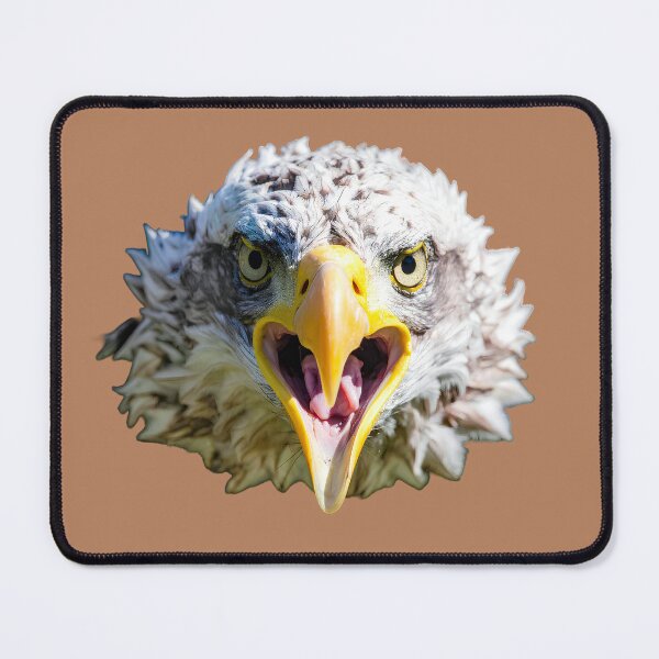 Item preview, Close-up of eagle white head designed and sold by Creative Visualize.