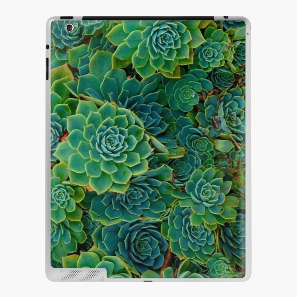 Succulent Wallpaper Ipad Case Skin By Brontemichal Redbubble