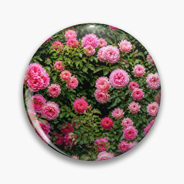 Item preview, Pink Rose Garden Bloom Floral Sticker designed and sold by IntelliMindDesigns.