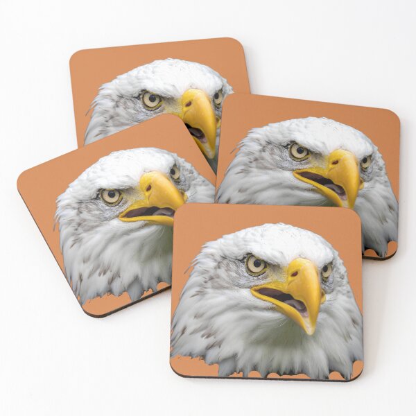 Item preview, Bald eagle illustration designed and sold by Creative Visualize.