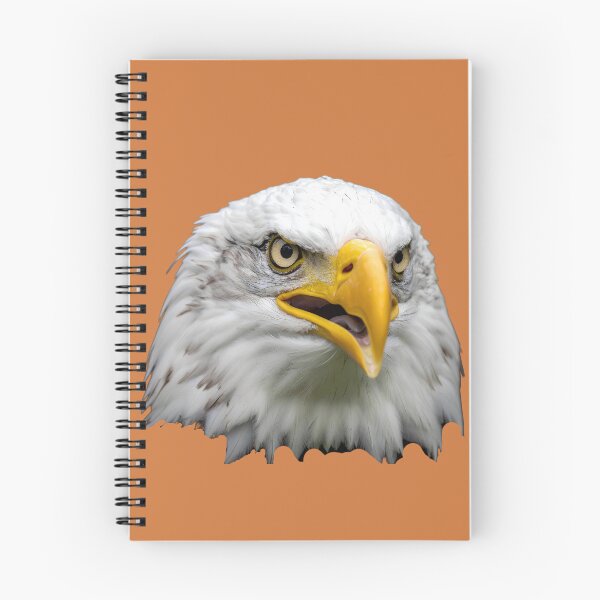 Item preview, Bald eagle illustration designed and sold by Creative Visualize.