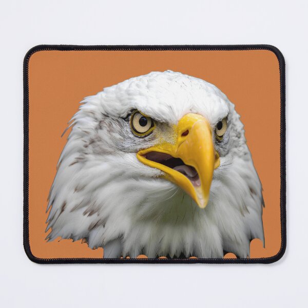 Item preview, Bald eagle illustration designed and sold by Creative Visualize.