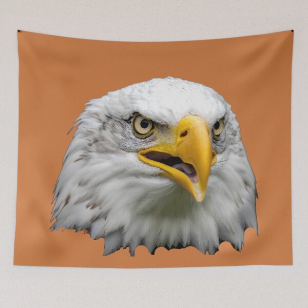 Item preview, Bald eagle illustration designed and sold by Creative Visualize.
