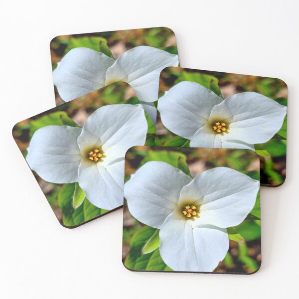 Item preview, Great White Trillium designed and sold by bjtomiko.