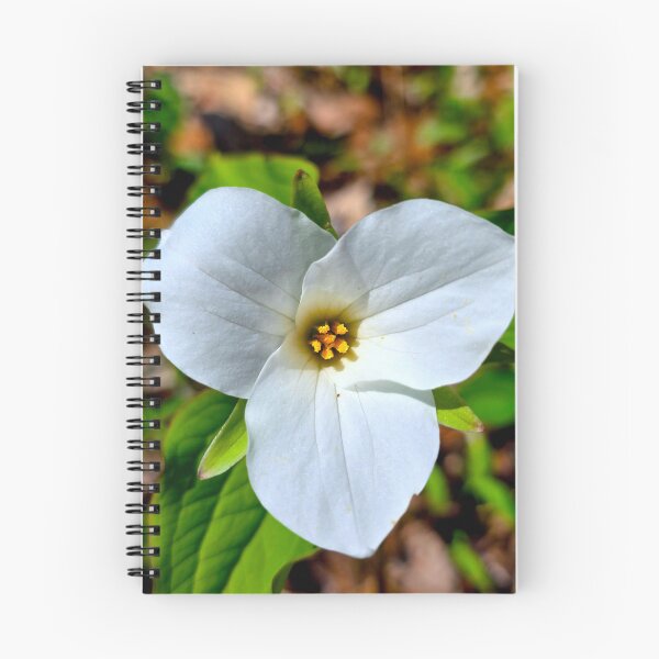 Item preview, Great White Trillium designed and sold by bjtomiko.