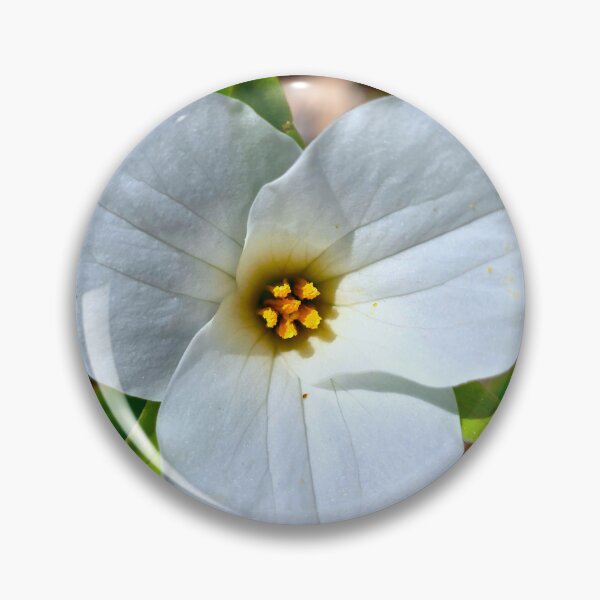 Item preview, Great White Trillium designed and sold by bjtomiko.