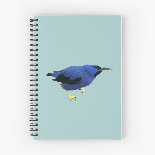 Aperçu de l'œuvre Oiseau bleu tropical créée et vendue par redhead-autumn.