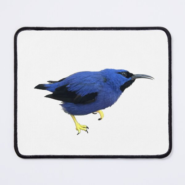 Item preview, Tropical Blue Bird designed and sold by redhead-autumn.