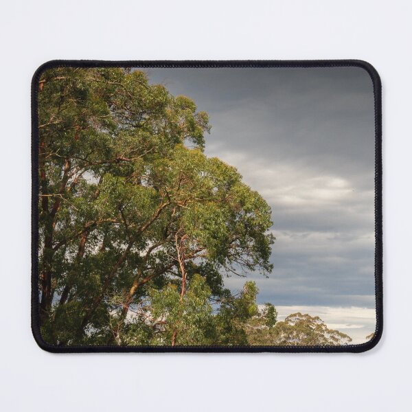 Item preview, Hidden Cabin Among Trees designed and sold by Penny Chadwick Photography.