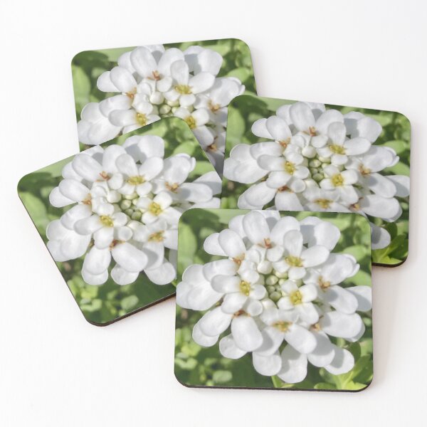 Item preview, Pretty Posy designed and sold by Smitty Petalz.